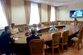 Online working meeting with the Executive Director of the Czech CCI for CIS countries held